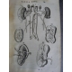 BARTHOLIN (BARTHOLINI), THOMAS. Anatomia complet des 120 gravures d'anatomie.Lyon 1677