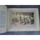 Les chiens de chasse Manufrance bel exemplaire de 1938, superbes gravures de chiens en couleur