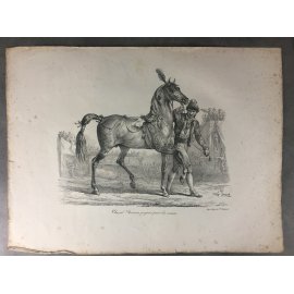 Carle Vernet Grande Lithographie Originale Cheval Horse Cheval romain préparé pour la course Delpech