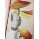 Cordier Les champignons de la France Rothschild 1870 Superbes planches couleur Mycologie reliure maroquin