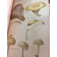 Cordier Les champignons de la France Rothschild 1870 Superbes planches couleur Mycologie reliure maroquin