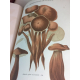 Cordier Les champignons de la France Rothschild 1870 Superbes planches couleur Mycologie reliure maroquin