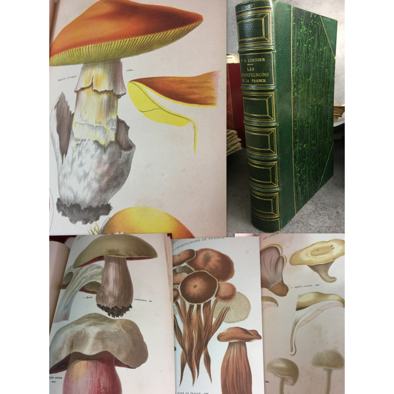 VINTAGES serre-livres champignons en bois Français. Sculpté,  France