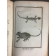 Sonnini Buffon Daudin Histoire naturelle générale et particulière Reptiles meyhode d'erpetologie .tome 1 et 4 gravures