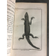 Sonnini Buffon Daudin Histoire naturelle générale et particulière Reptiles meyhode d'erpetologie .tome 1 et 4 gravures