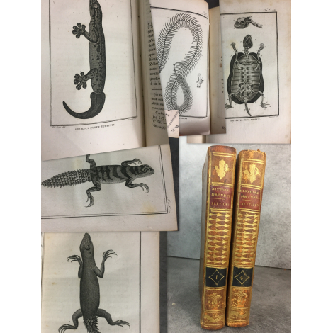 Sonnini Buffon Daudin Histoire naturelle générale et particulière Reptiles meyhode d'erpetologie .tome 1 et 4 gravures