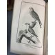 Sonnini Buffon Histoire naturelle oiseaux Tome 1 a 8 rapace aigle ornithologie 84 planches