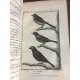 Sonnini Buffon Histoire naturelle oiseaux Tome 12 a 15 veuves, chardonneret fauvette ornithologie 34 planches