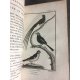 Sonnini Buffon Histoire naturelle oiseaux Tome 12 a 15 veuves, chardonneret fauvette ornithologie 34 planches