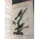 Sonnini Buffon Histoire naturelle oiseaux Tome 12 a 15 veuves, chardonneret fauvette ornithologie 34 planches