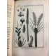 Sonnini Buffon Brisseau mirbel Histoire naturelle des plantes Tome 1 a 8 Botanique flore écologie