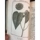 Sonnini Buffon Brisseau mirbel Histoire naturelle des plantes Tome 10 a 17 Botanique flore écologie