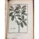 Sonnini Buffon Brisseau mirbel Histoire naturelle des plantes Tome 10 a 17 Botanique flore écologie