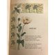 Art Nouveau Henri Caruchet illustre Emaux et Camées de Théohile Gautier 1895 Premier tirage Beau livre