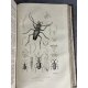 Dictionnaire pittoresque d`histoire naturelle Complet des 720 grandes planches gravées, D'Orbigny, monstres, insectes, botanique