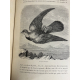 Leroy, chez les oiseaux, ornithologie nombreuses gravures d'oiseaux reliure cuir 1893