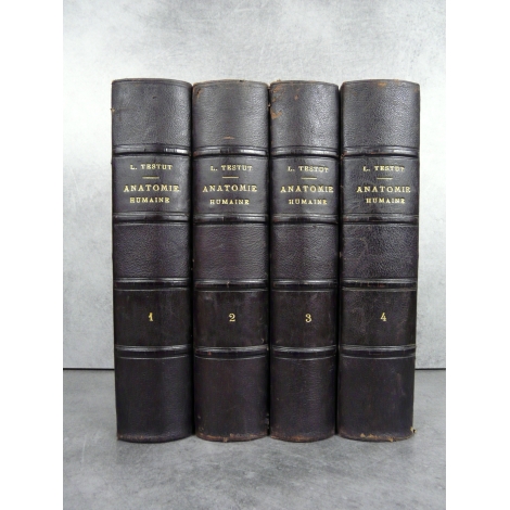 Testut Traité d'anatomie humaine Paris 5eme édition 1904-1905 nombreuses figures anatomiques