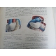 Testut Traité d'anatomie humaine Paris 5eme édition 1904-1905 nombreuses figures anatomiques