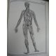 Cloquet Jules Manuel d'anatomie descriptive du corps humain représentée en [340] planches lithographiées -